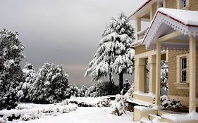 Tree Of Life Grand Oak Manor Binsar